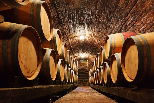 Cantina del vino