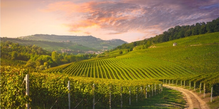 Idee di Viaggio Tour Locale